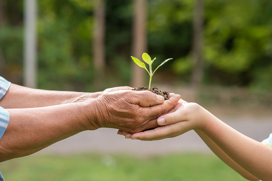 Compromiso medioambiental Residencia Los Almendros